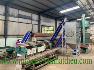 Équipement de trieuse de machine de calibrage de noix de cajou industriel automatique pour le traitement de noix lourdes fabriqué au Vietnam état neuf - Product Image 3