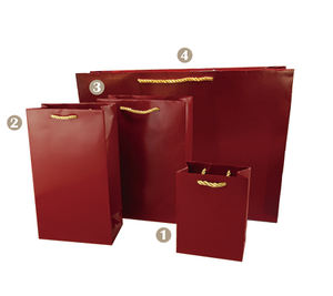 Bolsa de Regalo Rectangular Grande de Papel con Diseño Impreso y Asa Triple de Cuerda para Organizador de Joyas de Lujo 205x100x280mm - Product Image 1