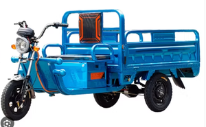 รถสามล้อไฟฟ้าขายดีอันดับต้นๆ สำหรับบรรทุกสินค้าแบบเปิด - Product Image 2