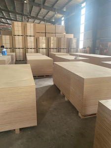 Contrachapado de abedul grado D/D, certificado E0 E1 CARB P2 para fabricación de muebles y paneles interiores 1220 x 2440 mm - Product Image 3
