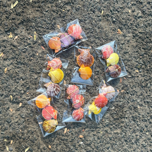 เปลือกหอยผสมเวียดนามคุณภาพดี เชื่อถือได้ สำหรับการจัดเก็บในครัวเรือนในระยะยาว โดย 99 Gold Data - Product Image 6