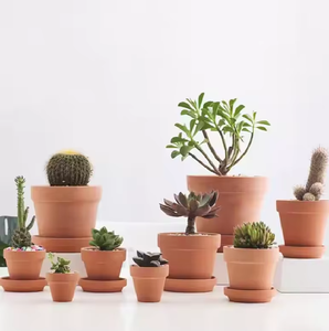 Recién llegado, gran oferta, maceta multicolor para jardín de casa, maceta de plástico duradera para agricultura - Product Image 5