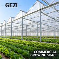 Serre à toit à pannes multiples avec ventilation verticale pour climat chaud et humide, idéale pour la culture commerciale de légumes et les pépinières