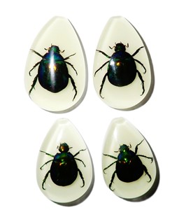 Cabochon en plastique de spécimen réel de Scarabée coloré, taille poire, 46x30 mm, fond plat, pour artisanat et fabrication de bijoux - Product Image 4