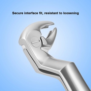1 Unidad de Pinza de Extracción de Dientes de Sabiduría (Molars Superiores e Inferiores) de Acero Inoxidable, Instrumento Quirúrgico Dental con Diseño Ergonómico Moleteado - Product Image 2