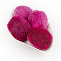 Premium IQF Diepvries Rode Drakenvrucht Sticks Bulk Vacuümverpakt Klaar om te eten 100% Natuurlijk Tropisch Fruit