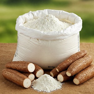 FÉNOL DE CASSAVA EN POLVO, ALTA BLANCURA, BAJO CONTENIDO DE HUMEDAD, VENTA AL POR MAYOR, EXPORTACIÓN DE VIETNAM - Product Image 2