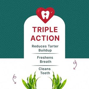 OEM Custom Organic <b>Vegetarian</b> Grain-Free <b>Dog</b> Dental Sticks Soft Chews-Mint Flavored Natural Seaweed Chlorophyll Dual-Action - Product Image 3