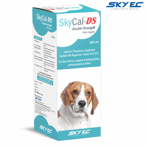 SkyEC SkyCal-DS Syrup Doble Concentración 200ml Suplemento Líquido de Calcio, Fósforo y Multivitaminas para Apoyo Inmunológico y Salud Ósea - Product Image 1