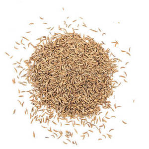 FitTree International Semillas de Comino 100% Puras de Gujarat, Almacenamiento en Frío y Seco, 24 Meses de Vida Útil, Hierbas y Especias para Cocinar - Product Image 3