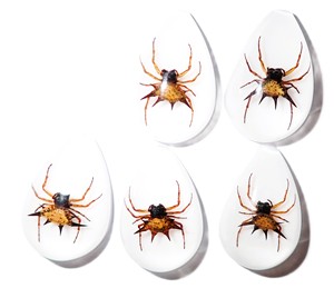 Spiny <b>Spider</b> Real Specimen <b>Plastic</b> Cabochon Pear Shape Cut Top 33x22 mm White Flat Bottom for Crafts and Jewelry Making - Product Image 1