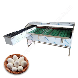 Egg Grading Machine Price 5400pcs/hour Hot Sale Egg Grader Machine Eggs Grade Pick Machine - Product Image 3