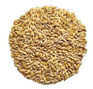 Thức ăn chăn nuôi lúa mạch Sản xuất tại Kazakhstan