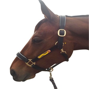 Harnais d'équitation en cuir de qualité supérieure, style anglais, accessoire de selle en cuir véritable, harnais personnalisé en cuir avec nom. - Product Image 3