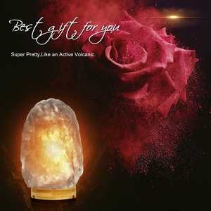 Lampe murale en sel de l'Himalaya naturel IMPEX PAKISTAN, cristal sculpté à la main de haute qualité pour la décoration intérieure, fonction veilleuse - Product Image 4