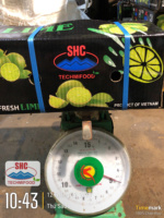 Vietnamese Premium Pitloze Lime – Lange Houdbaarheid, Verse Citrusvruchten voor Internationale Handel