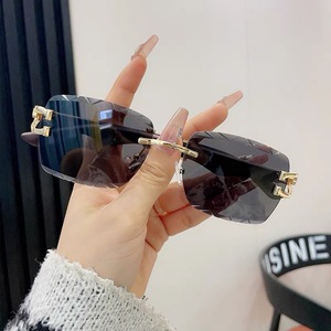 Gafas de Sol de Moda 2024 con Montura Metálica sin Aro y Estampado de Leopardo, Gafas de Sol de Lujo para Hombre con Protección Solar - Product Image 1