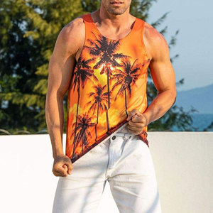 Camiseta sin Mangas para Hombre a Precio Bajo, Moda de Verano, Camiseta sin Mangas para Hombre de Alta Calidad y Transpirable - Product Image 2