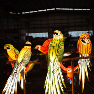 <span class=keywords><strong>Lanterne</strong></span> à thème oiseaux de haute qualité Spectacle de lanternes Parc zoologique Décoration Festival des lanternes volantes à vendre - Product Image 4