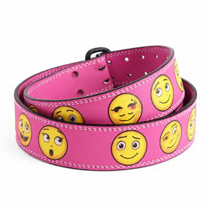 Ceintures en cuir Anime pour haltérophilie, entraînement de dos, pompes et fitness - Product Image 5