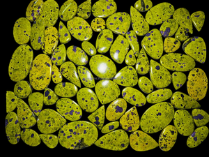 100% naturel Atlantisite Cabochon meilleure qualité pierres précieuses en vrac pour la vente en gros pour la fabrication de pendentifs de bijoux - Product Image 2