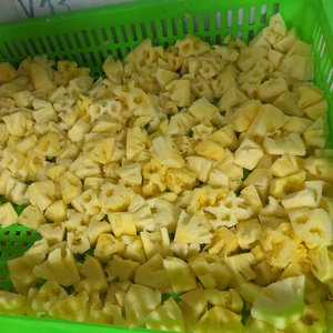 Piña Congelada en Cubos al Vacío al por Mayor, 100% Natural, Llena de Jugo, para la Industria Panadera, Vietnam - Product Image 1