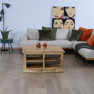 Vandana <b>Silver</b> Harmony Square <b>coffee</b> <b>table</b> with storage in metal and wood Character - Product Image 2