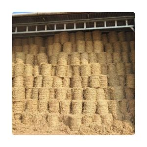Paille de riz sèche de qualité supérieure pour l'alimentation des animaux d'élevage de luxe et le substrat de culture de champignons robuste - Product Image 6
