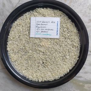 Arroz Basmati Orgánico de Grano Largo LyonsBarry Premium 1509 Haryana 95% en Bolsas de BOPP/Yute, Calidad de Exportación Certificada, 5 Años de Duración - Product Image 3