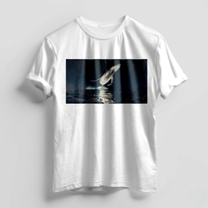 Camiseta Deportiva Personalizada DTF Slim Fit para Hombre, 95% Algodón, Informal, para Gimnasio, Entrenamiento, Manga Corta, para Correr, Diseño Sólido, Tejido Liso Teñido - Product Image 1