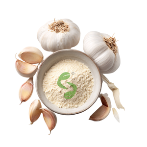 Poudre d'extrait d'ail de qualité supérieure pour approvisionnement en gros dans le traitement des aliments, les mélanges d'assaisonnement et les applications culinaires industrielles - Product Image 3