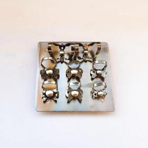 Pinces de barrage endodontiques autoclavables, lot de 18 pièces avec support de montage, instrument en acier inoxydable pour usage dentaire - Product Image 5