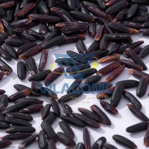 ARROZ NEGRO PREMIUM AL POR MAYOR |   PROVEEDOR DE ARROZ ECOLÓGICO SECO DE GRANO MEDIO DE VIETNAM |   CALIDAD DE EXPORTACIÓN GARANTIZADA |   Sra. CELESTE - Product Image 2
