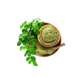 ผงใบมะรุมบริสุทธิ์ อบแห้งด้วยวิธีสเปรย์ สำหรับใช้เพื่อสุขภาพ ผลิตในอินเดีย 25 กก. เฮอร์โบจิต - Product Image 3