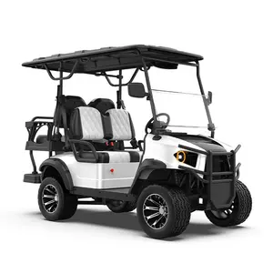 Carrito de golf de 48 voltios, motocicleta clásica alimentada por litio, vehículo con batería personalizada, carrito de golf eléctrico legal para Calle