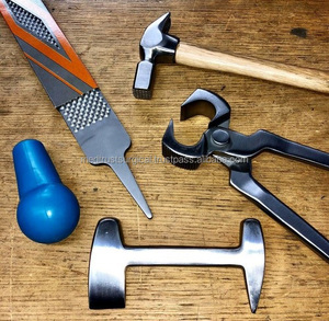 Kit d'outils de fermeur de qualité supérieure pour le soin des sabots de cheval et le retrait des sabots Medtrust Surgical ISO/CE Vente en gros Faible MOQ - Product Image 1