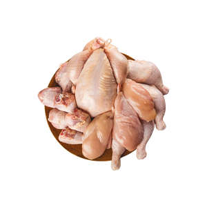 Pollo deshuesado congelado de alta calidad listo para entrega rápida a nivel mundial - Product Image 6