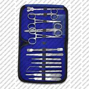 Productos de Venta Caliente: Juego de Instrumentos Quirúrgicos de Grado Médico, Manuales, de Acero Inoxidable, para Uso en Cirugía General - Product Image 3
