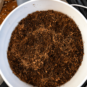 Mélange de tomates biologiques en gros avec croissance racinaire intense, tourbe de coco de la meilleure qualité pour les agriculteurs en serre, 5 kg, exportateur - Product Image 4