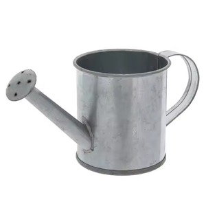 Arrosoir en métal avec long bec verseur, design durable pour le jardinage, finition peinte - Product Image 2