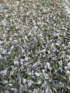 Polvo de Hoja de Ramie para Pasteles y Dumplings Tradicionales, Bolsa con Cierre de 100g, Fabricante y Proveedor de Vietnam, 1 ANGLE - Product Image 3