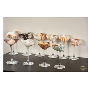 VietChoice Plat de service pour fruits de mer en coquille naturelle d'escargot, écologique et réutilisable, style marin, fabriqué au Vietnam - Product Image 6