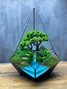 Terrarium en verre géométrique avec arbre style bonsaï et paysage aquatique, décoration de table intérieure pour la maison, le bureau et les cadeaux - Product Image 5