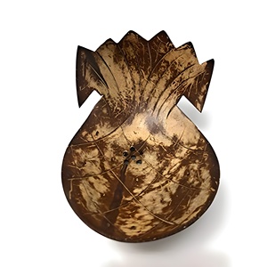 Plato de jabón de cáscara de coco hecho a mano, el más vendido de Vietnam, Natural y único, precio barato - Product Image 2