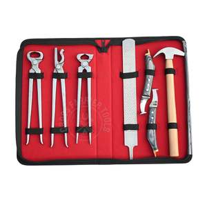 Juego de herramientas para herrador: Martillo de herrador, juego de cuchillas para pezuñas (curva y de lazo), lima raspadora, herramienta para quitar herraduras, clavillador y alicates para pezuñas - Product Image 1