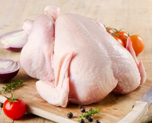 Pollo Entero Congelado al por Mayor, Certificado Halal, Pollo Fresco Congelado de Primera Calidad para Exportación, Suministro a Granel - Product Image 5