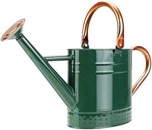 Arrosoir en métal vert de luxe avec poignée et bec en cuivre pour l'arrosage des jardins - Product Image 1