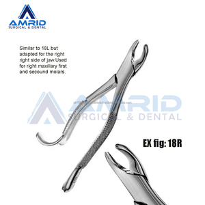 Fórceps de extracción dental Extracción de dientes molares Instrumentos de acero inoxidable Manual CE ISO Aprobado Calidad Premium - Product Image 4