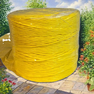 Cuerda de Rafia de Polipropileno 2mm 1kg 2kg 1500m para Soporte de Tomates, Hilo para Empacadoras, Anti-UV, Ecológico, Duradero, Hecho en Gujarat, Económico - Product Image 1