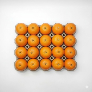 Nouveau Plateau à Fruits Empilable en Pulpe Moulée – Emballage Gain de Place et Esthétique en Pulpe de Papier Grise – Idéal pour l'Emballage d'Aliments Biologiques - Product Image 5